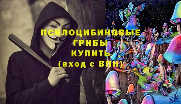 мяу мяу кристалл Ельня